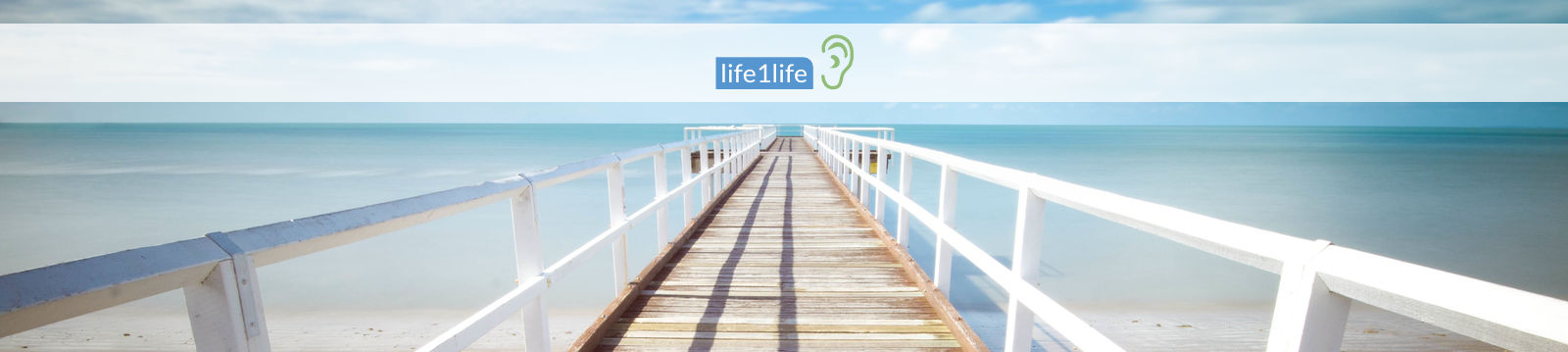 life1life-header-page